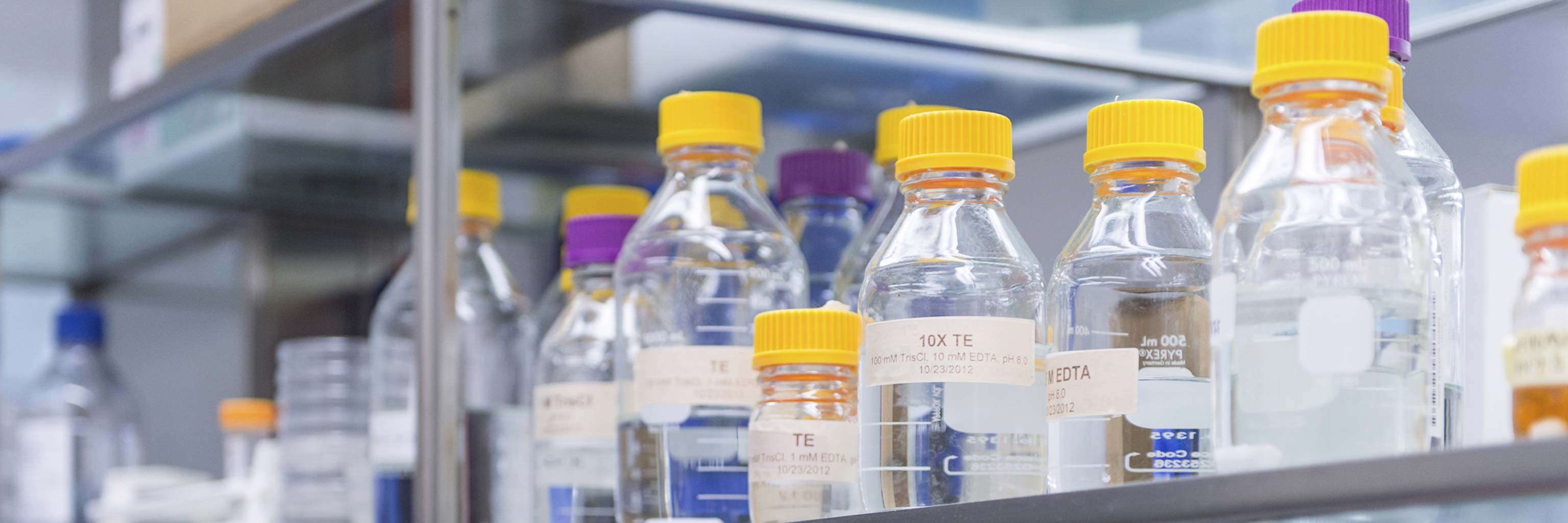 bottles sitting on a shelf