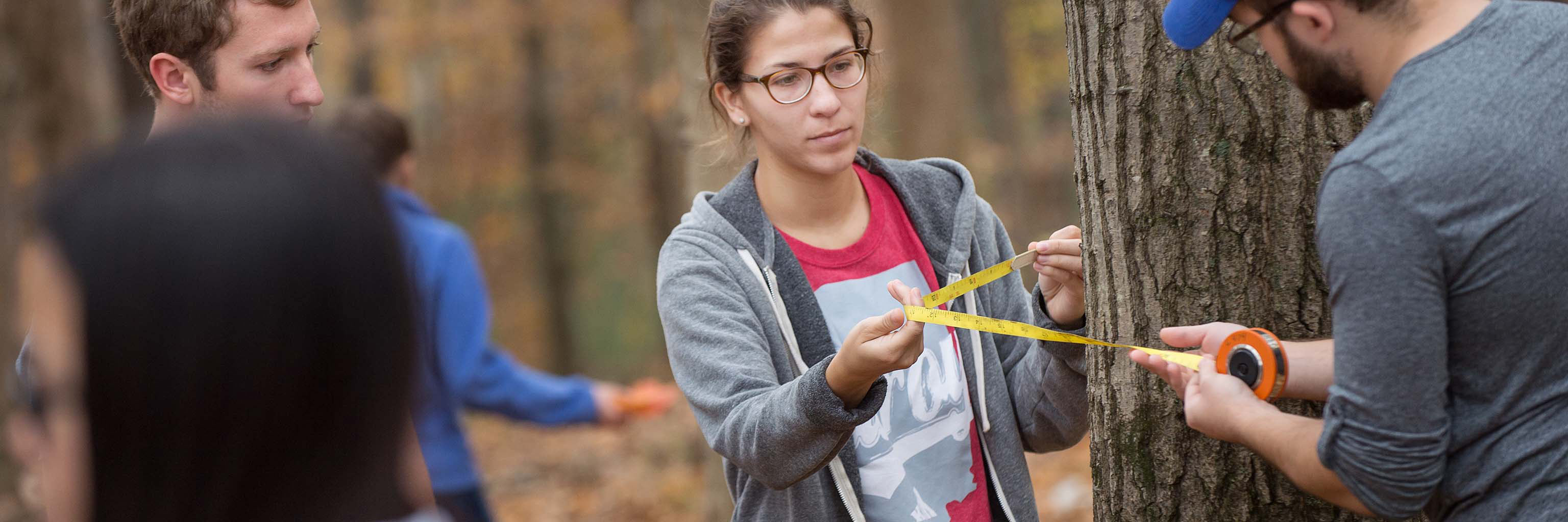 Students measuring tree trunks with a measuring tape