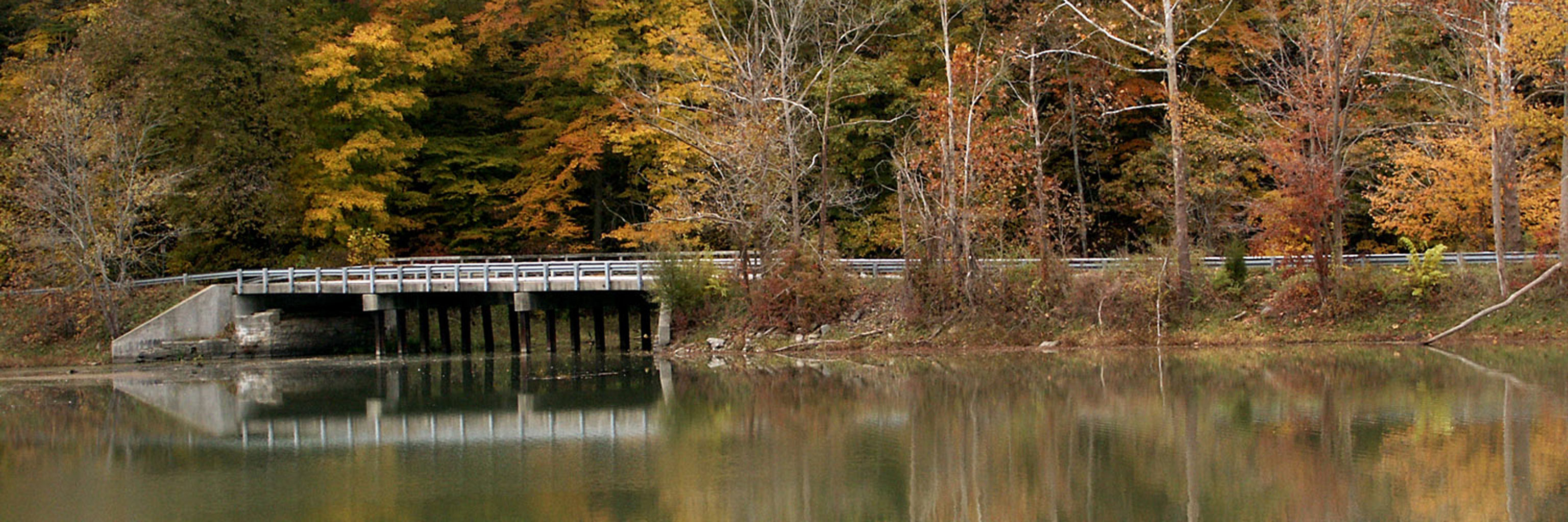 griffy bridge