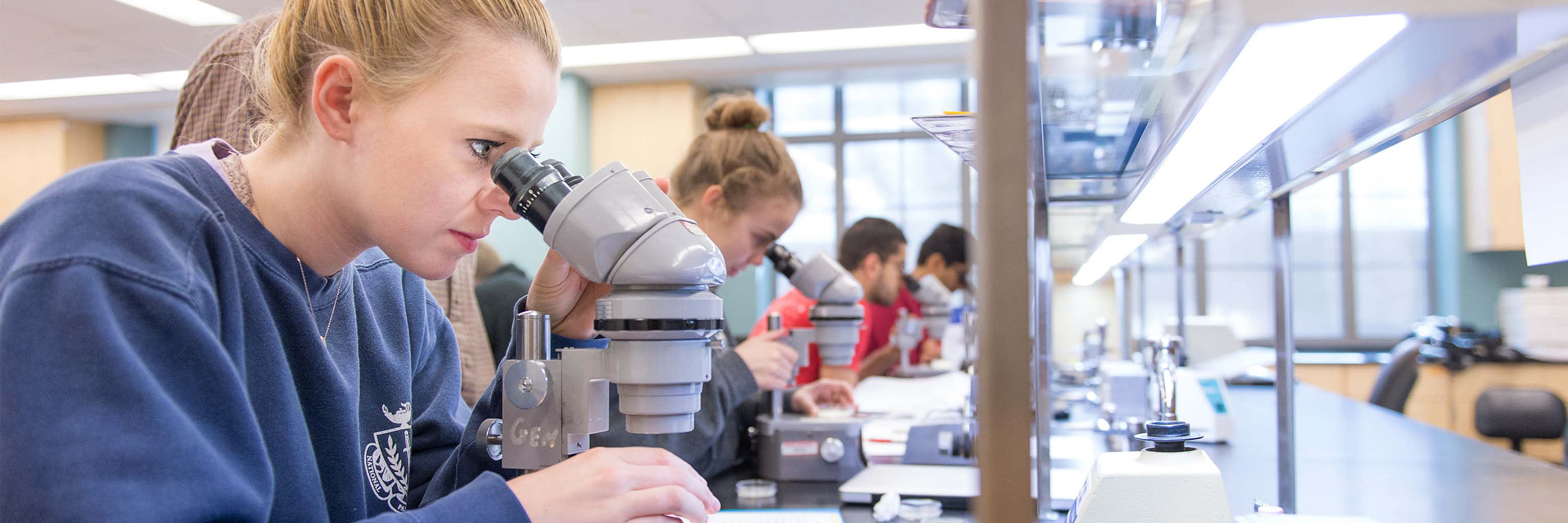 Undergraduate student looking into a microscope