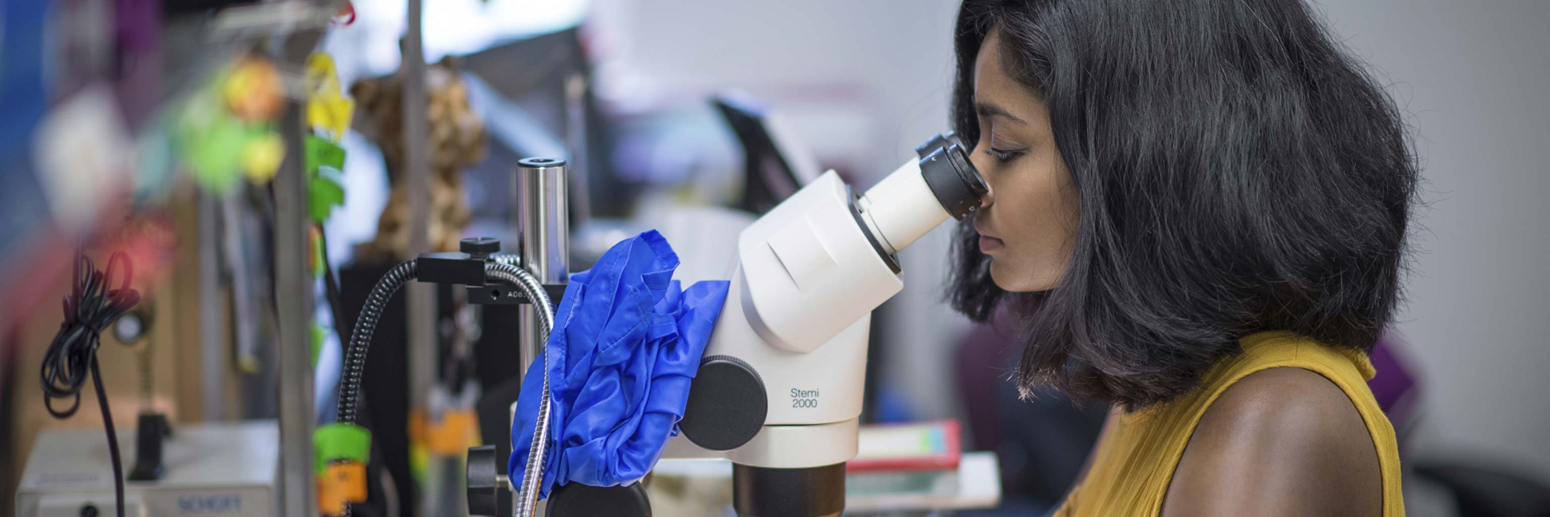 Undergraduate student looking into a microscope