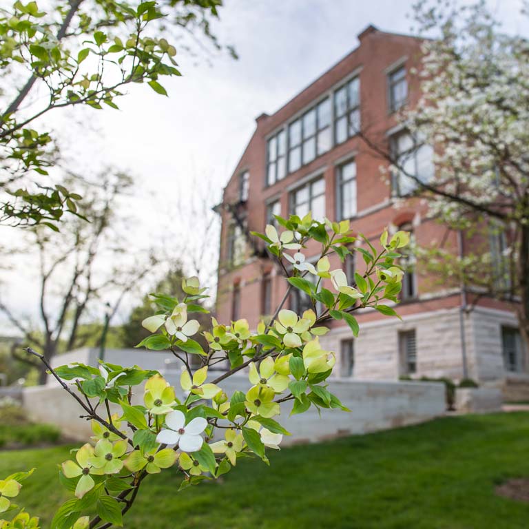 Owen Hall landscape