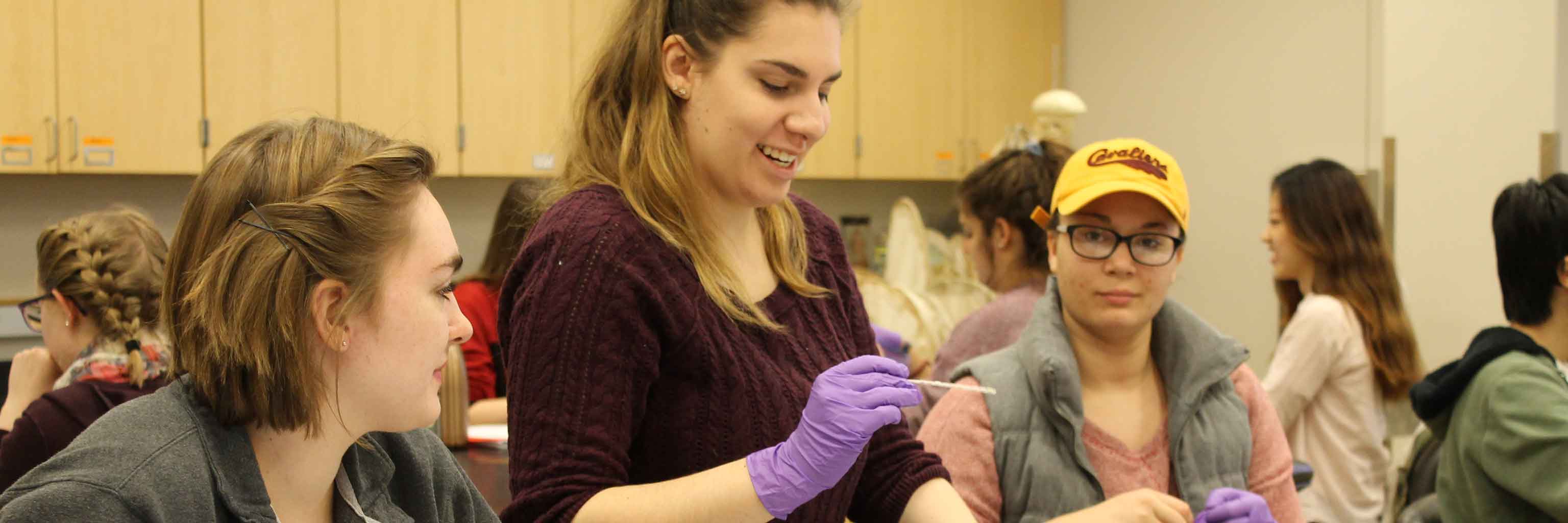 A science class creating an experiment.