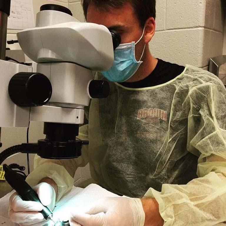 Man looks through viewer as he works on research project.