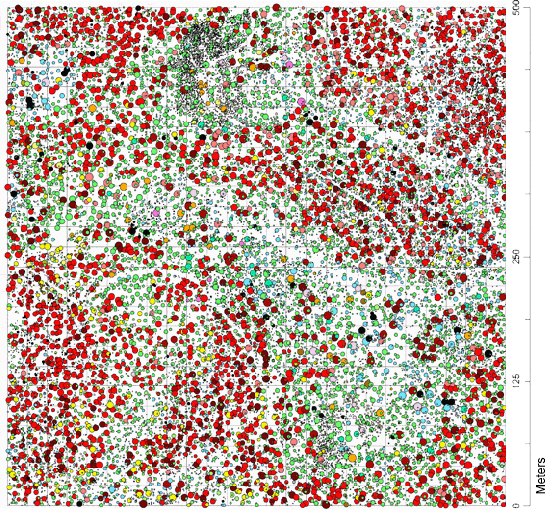 2012 IU Forest Dynamics Plot stem map.