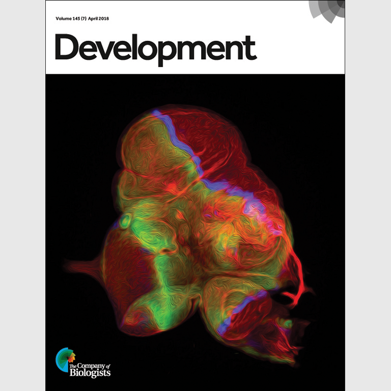 Development journal cover, volume 145(7) April 2018.