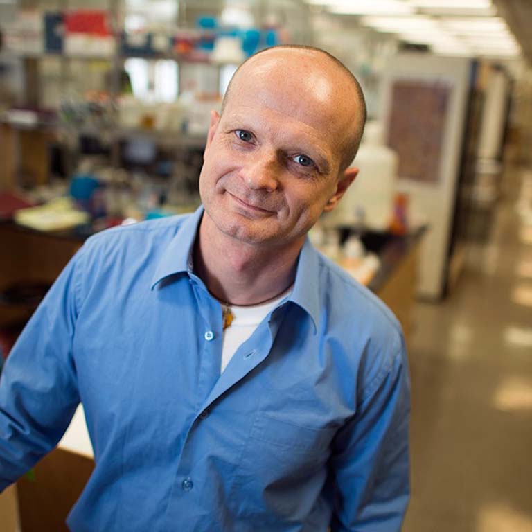 Armin Moczek in his lab.