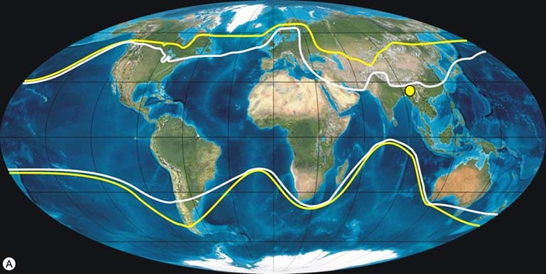 World map showing the modern distribution of the sweet potato family and genus.