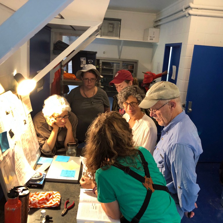 Eve Cusack instructs local volunteers at the banding station.