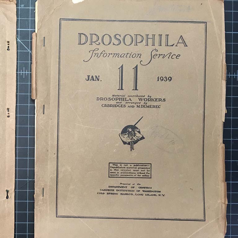 Front cover of Drosophila Information Service, January 11, 1939.