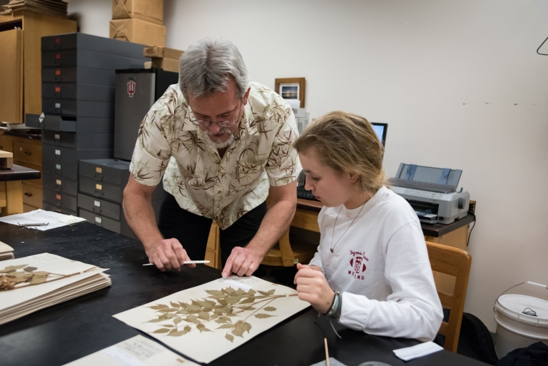 IU Herbarium director Eric Knox, left, and undergraduate student Maggie Vincent work with a preserved plant specimen.