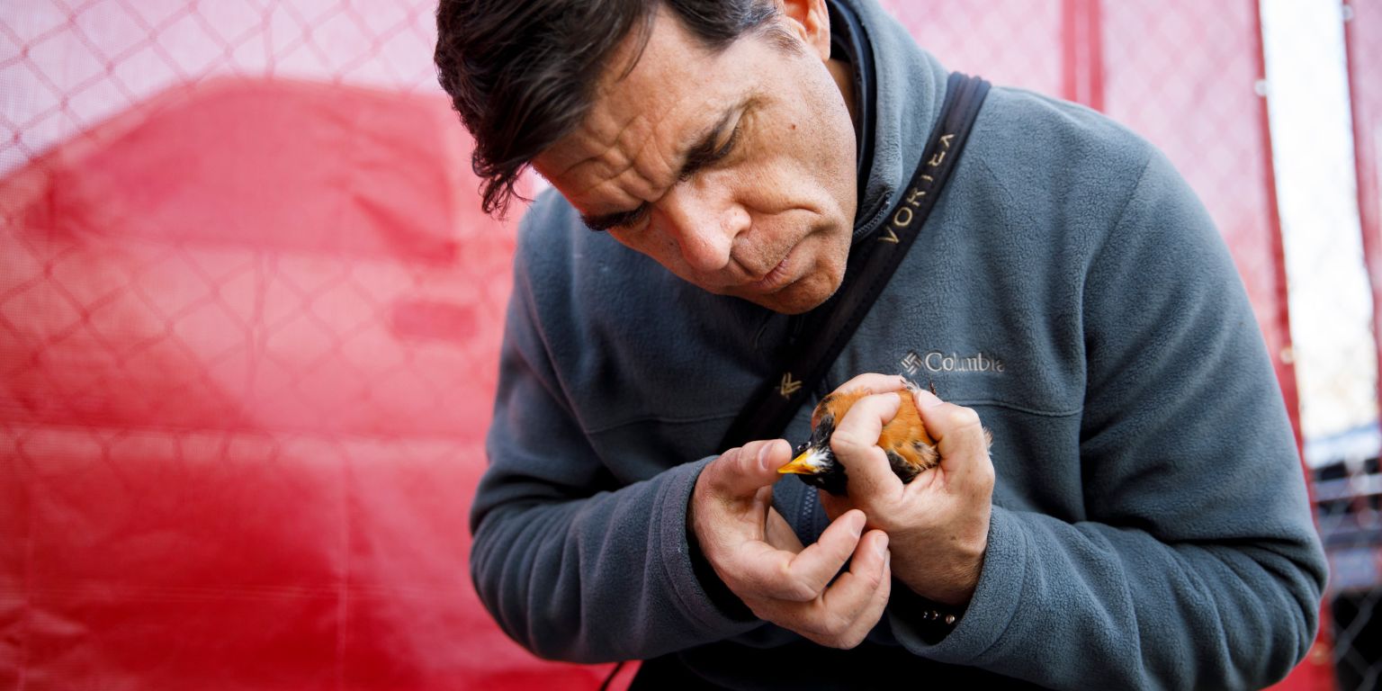 Alex Jahn holds and examines an American Robin.