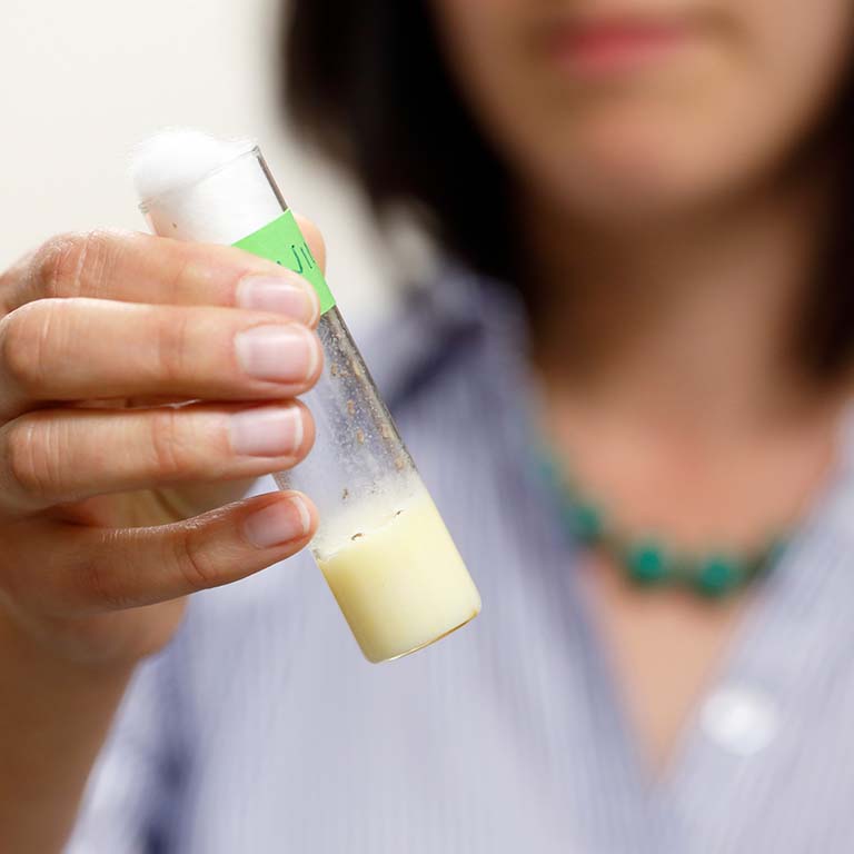 Irene Newton holds a tube of fruit flies.