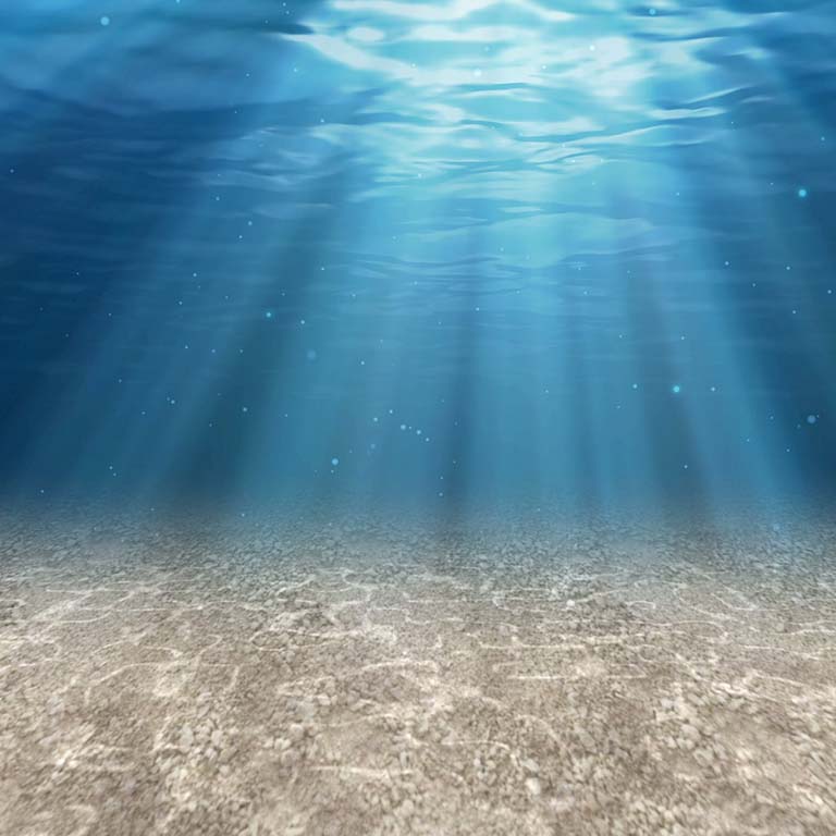 An underwater photograph captures rays of sunlight penetrating to the ocean floor.