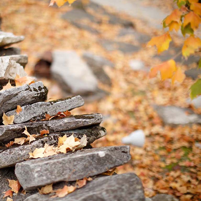 A gray, stone wall diagonally fills the lower left corner in the foreground. Brown and yellow leaves cover the ground. A few gold and green maple leaves hang into the image from the upper right corner.