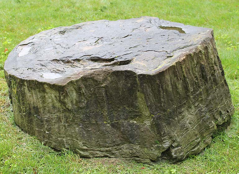 The fossilized Sigillaria stump sitting on a green, grassy lawn.