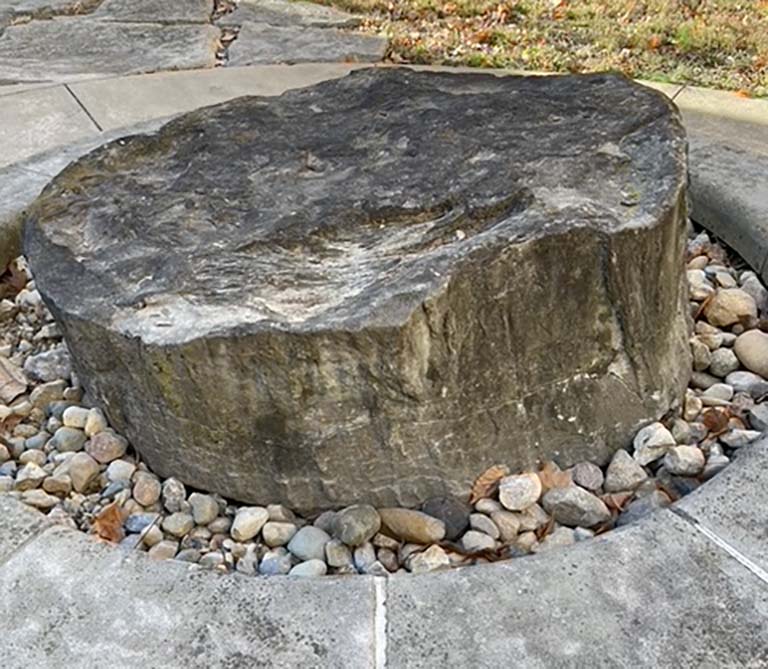 The fossilized Sigillaria stump perched on pond gravel in a large, circular concrete planter.