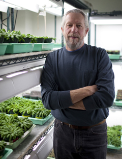 Roger Hangarter