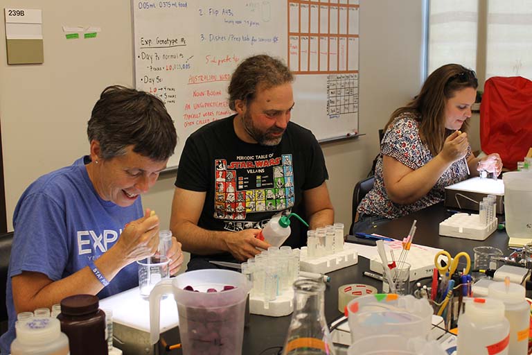 Teachers pipetting Daphnia in the lab with Dr. Spencer Hall at Biology Summer Institute at IU Department of Biology.