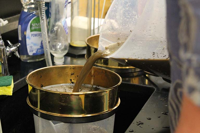 Extracting nematodes from the soil in Dr. Erik Ragsdale’s lab during the Biology Summer Institute at the IU Department of Biology.