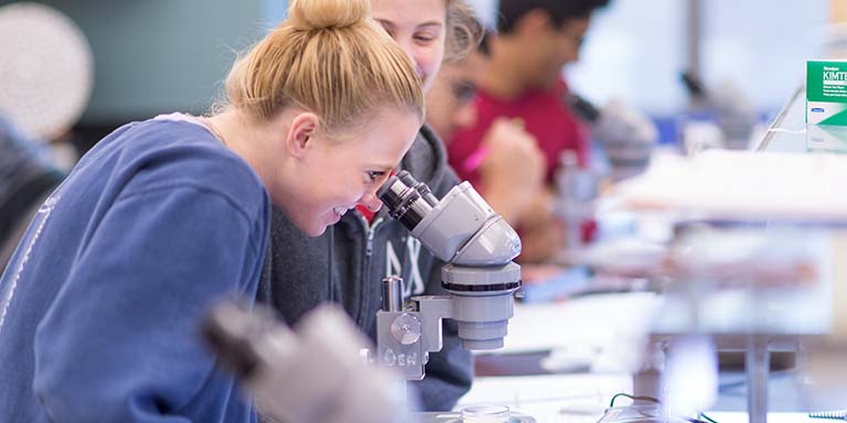 students look into a microscope