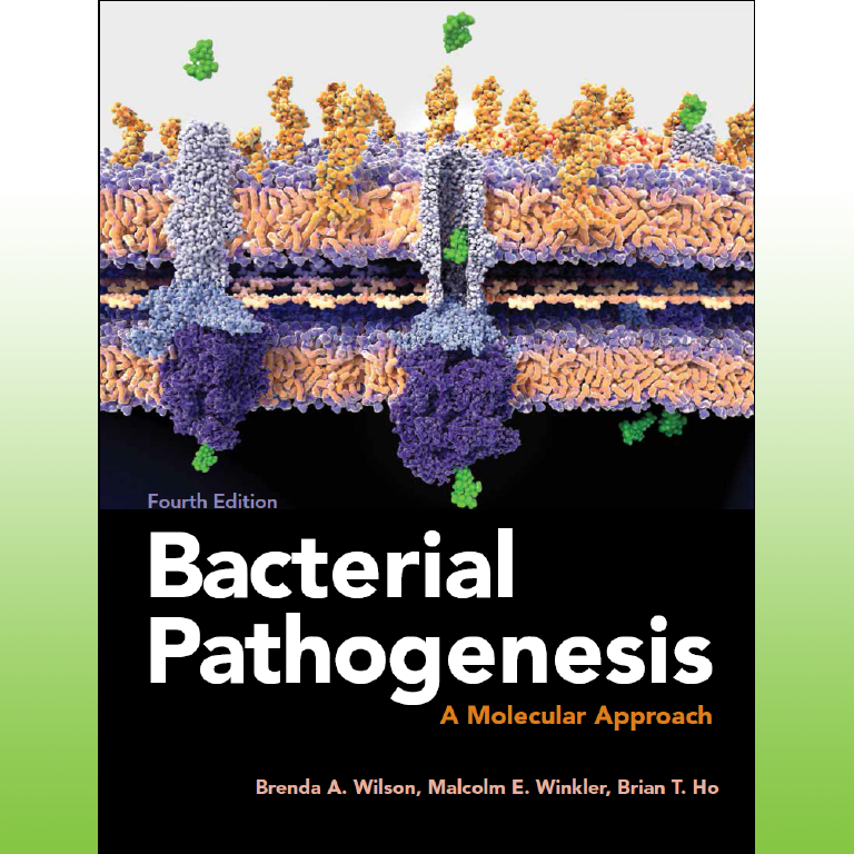Book cover of fourth edition of Bacterial Pathogenesis—A Molecular Approach.