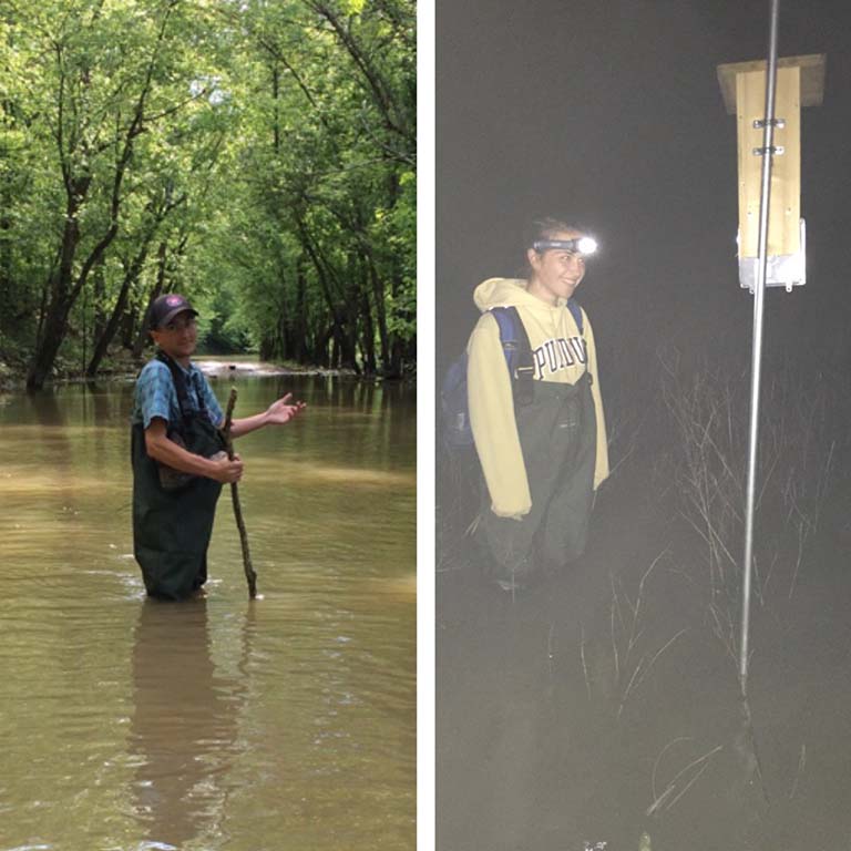 Students checking tree swallow nest boxes during flood in daytime and at night